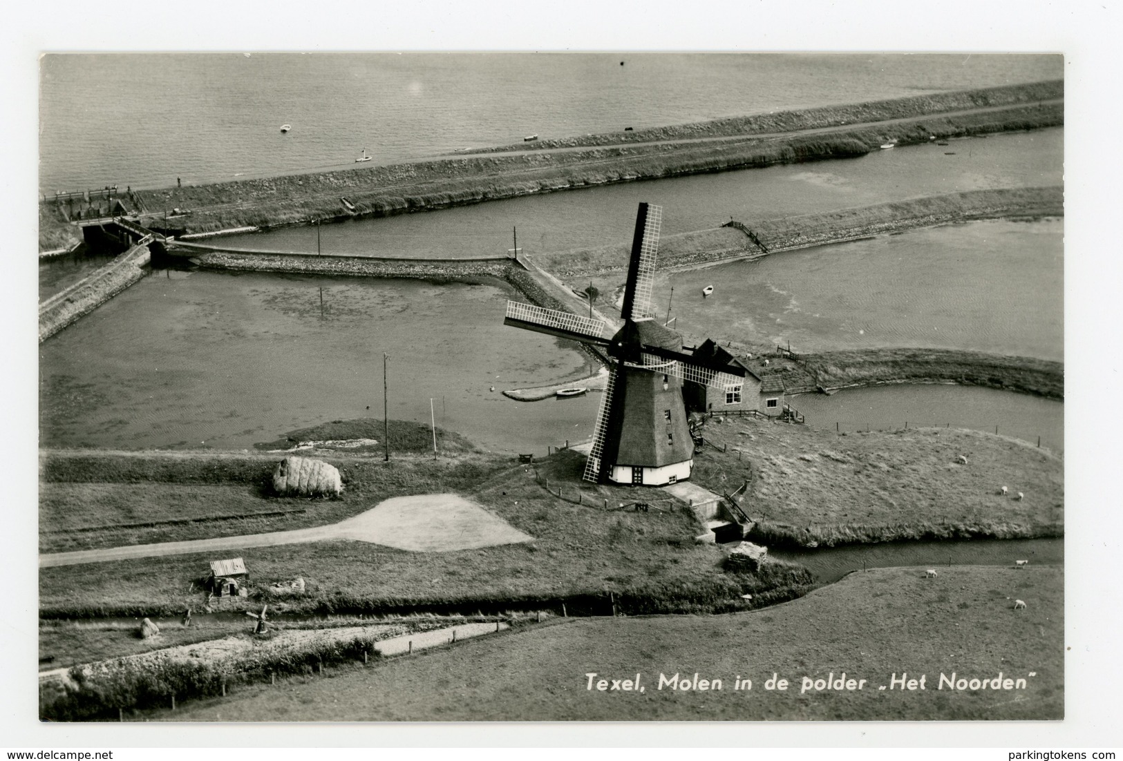 D085 - Texel Molen In De Polder - Molen Het Noorden - Molen - Moulin - Mill - Mühle - Texel