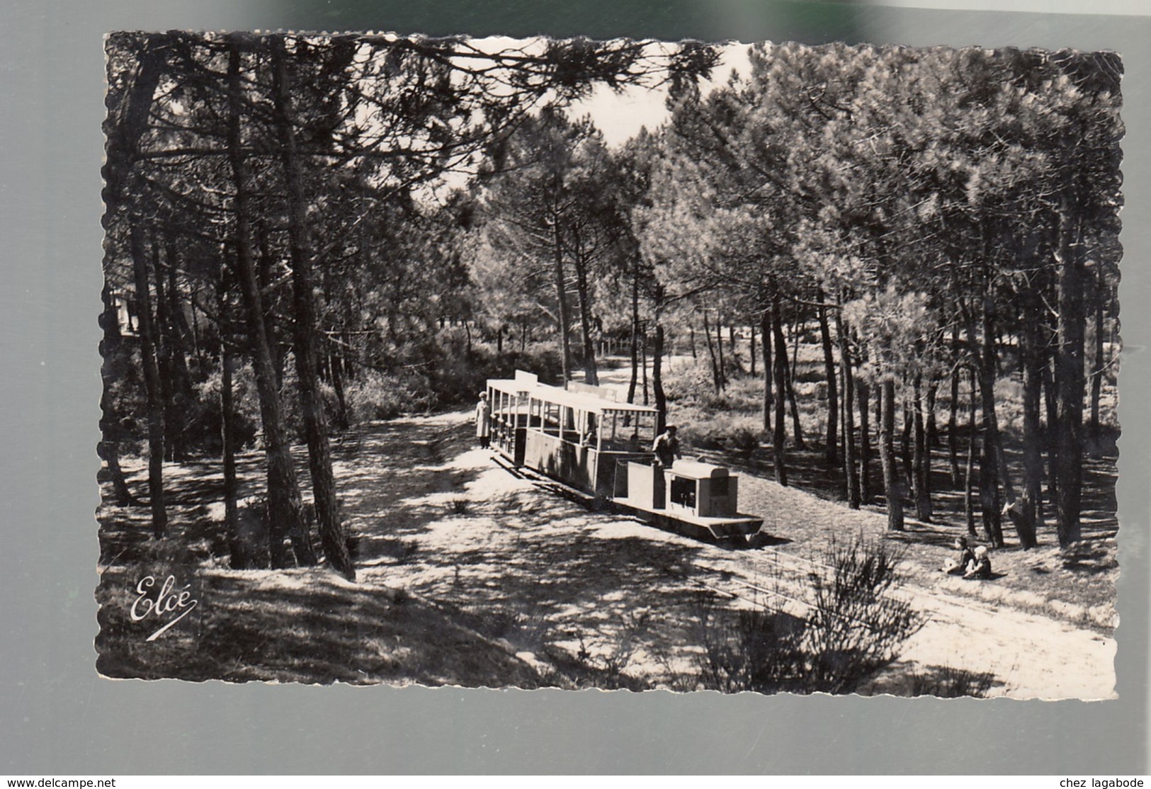 CP (33) Cap Ferret - Le Petit Train - Autres & Non Classés