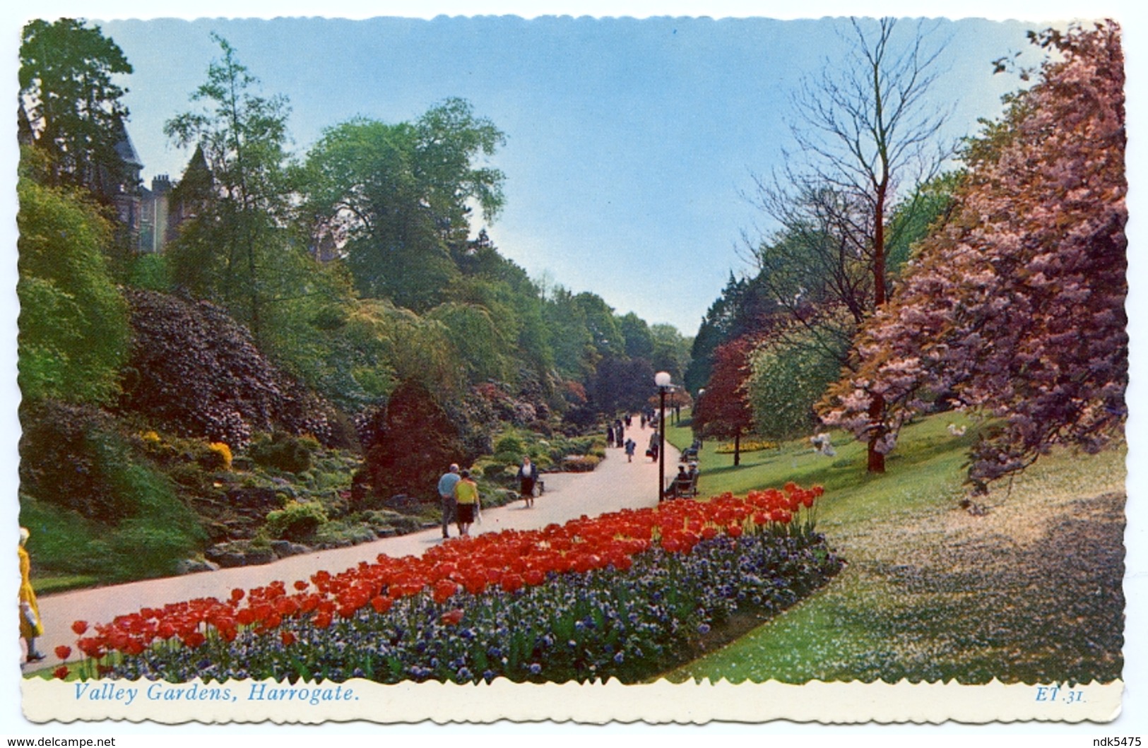 HARROGATE : VALLEY GARDENS - Harrogate