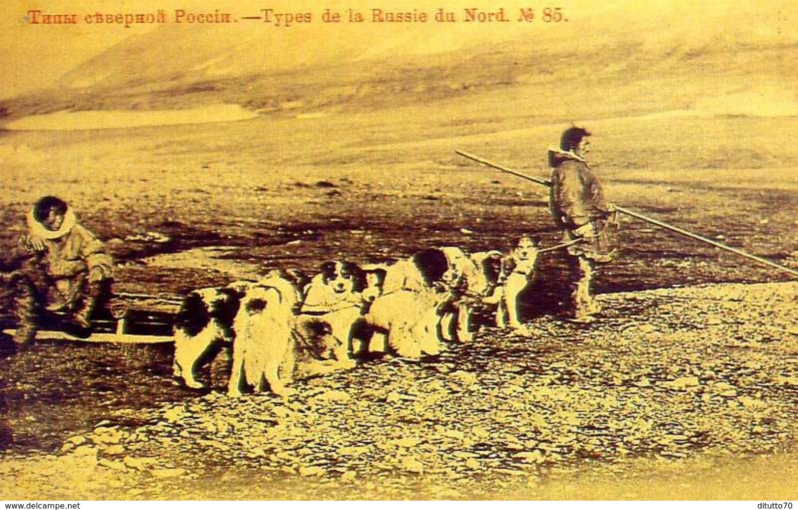 Una Muta Di Cani Nella Russia Del Nord - Russia 1901 - Riproduzione Da Originale - Altri & Non Classificati