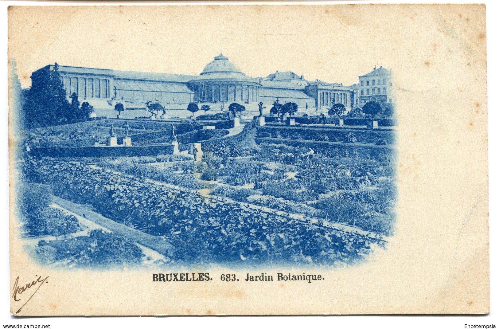 CPA - Carte Postale - Belgique - Bruxelles - Jardin Botanique - 1905 (B9011) - Bossen, Parken, Tuinen