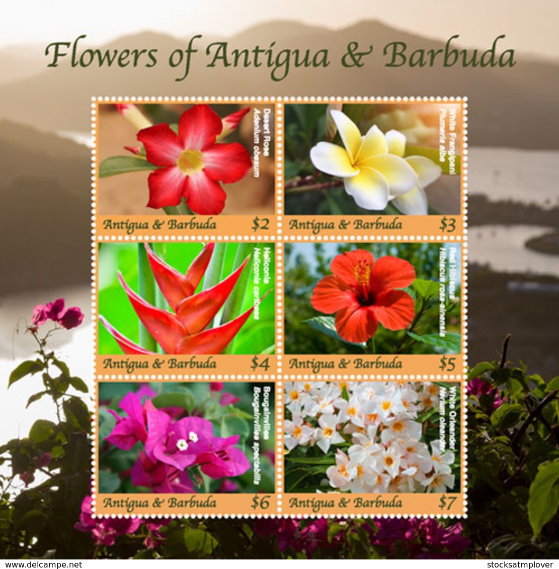 Antigua And Barbuda 2018   Flowers I201901 - Antigua And Barbuda (1981-...)