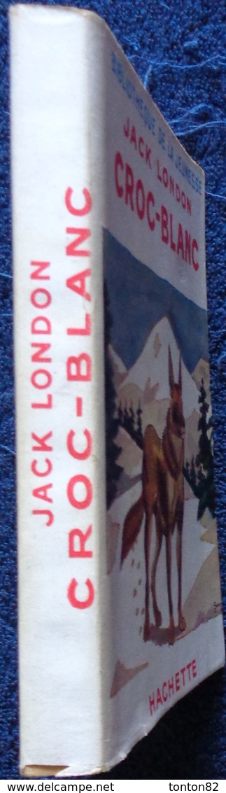 Jack London - Croc-Blanc - Bibliothèque De La Jeunesse - ( 1950 ) - Bibliothèque De La Jeunesse