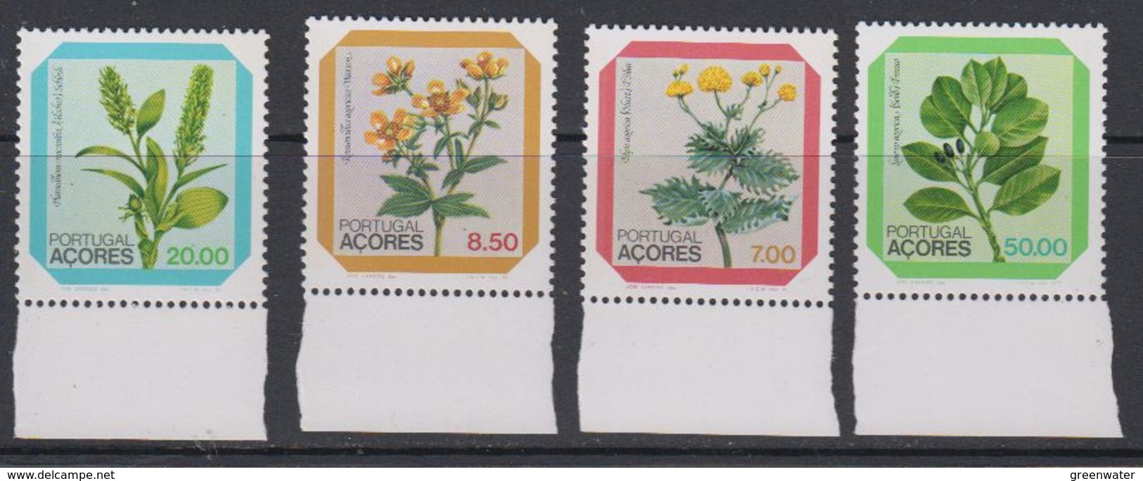 Azores 1981 Flowers 4v  (+margin) ** Mnh (43219F) - Azoren