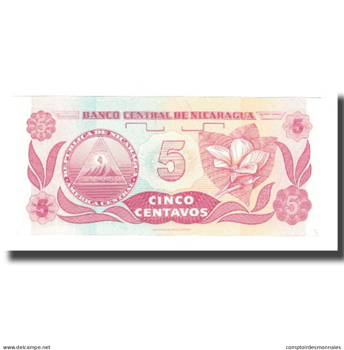 Billet, Nicaragua, 5 Centavos, Undated (1991), Undated (1991), KM:168a, NEUF - Nicaragua