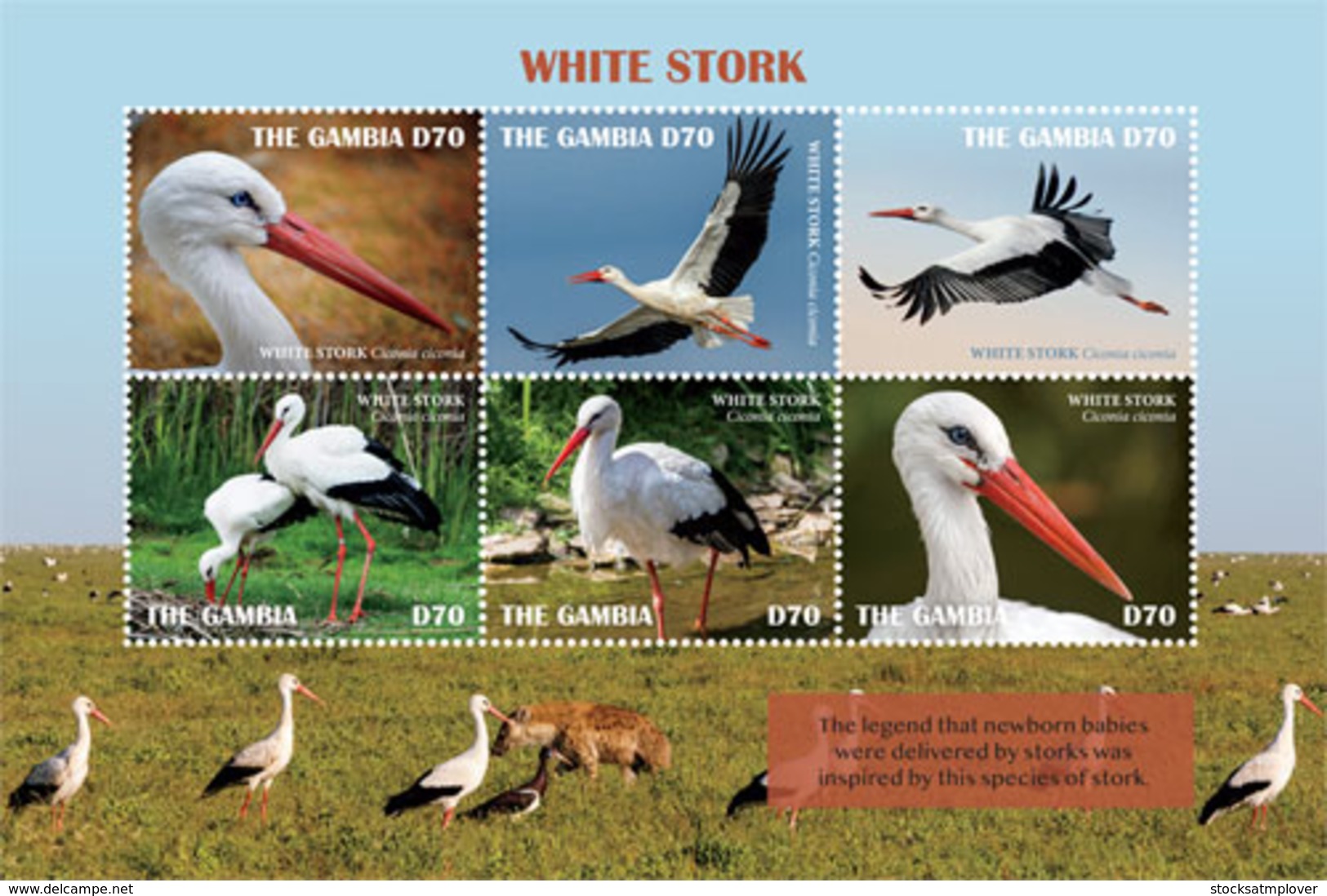 Gambia 2019 Fauna White Stork ,bird  I201901 - Gambia (1965-...)