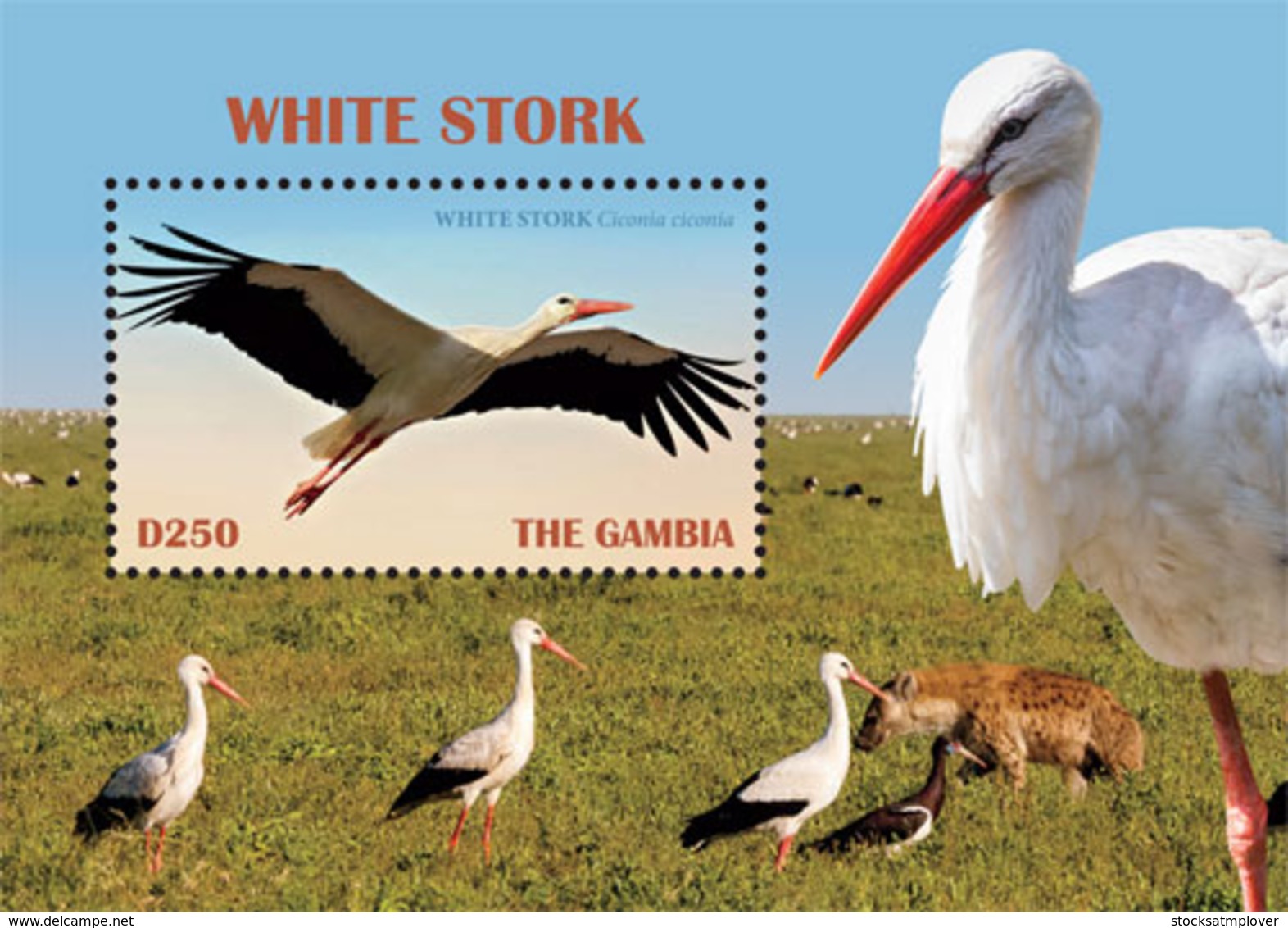 Gambia 2019 Fauna White Stork ,bird  I201901 - Gambia (1965-...)