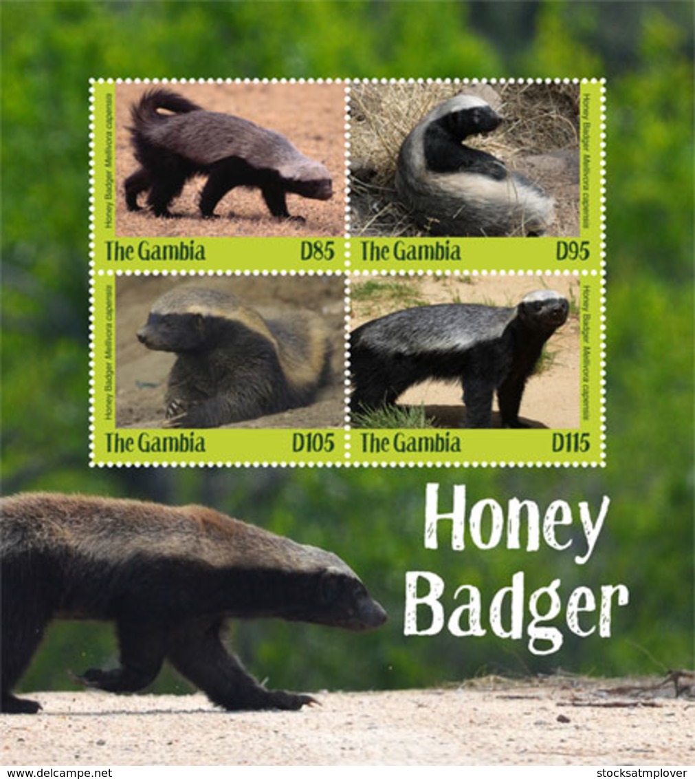 Gambia 2019 Fauna Honey Badger , I201901 - Gambia (1965-...)