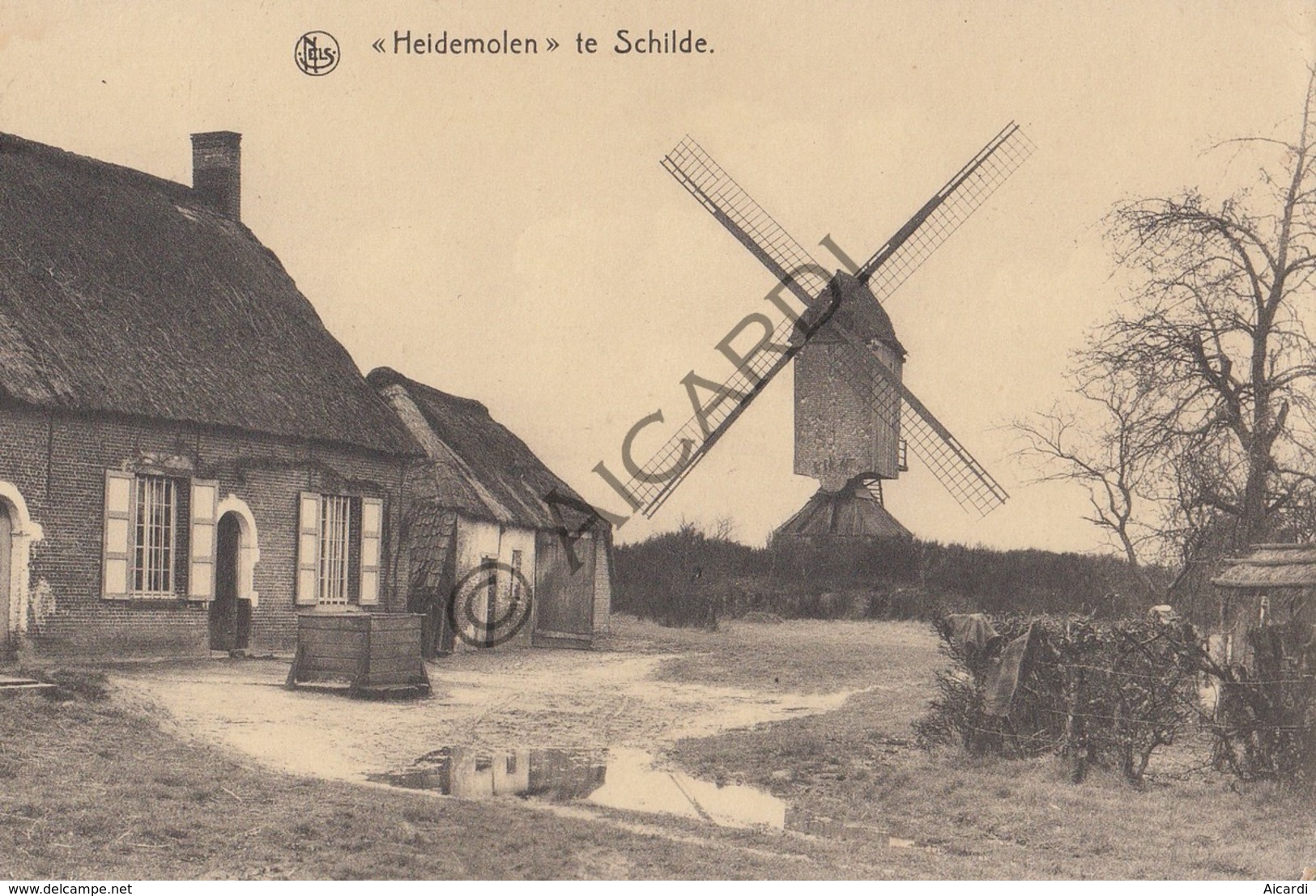 Postkaart/Carte Postale SCHILDE HeideMolen  (C394) - Schilde