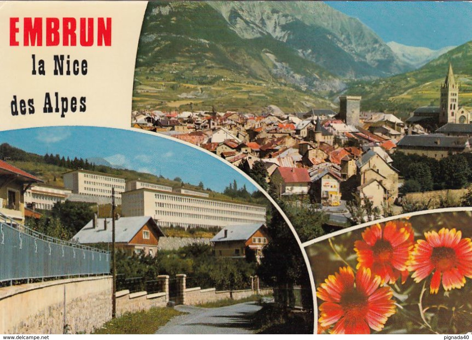 Cp , 05 , EMBRUN, Alt. 870 M. , La Nice Des Alpes , Multi-Vues - Embrun