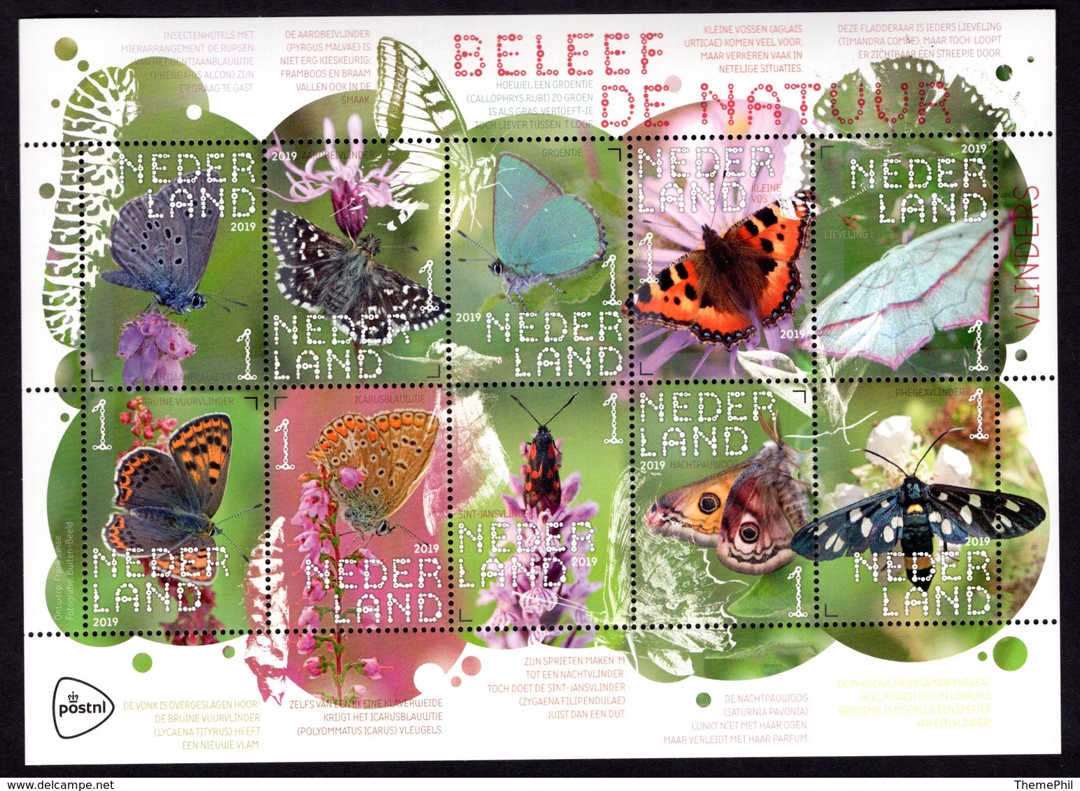 Netherlands Nederland Holland 2019 Butterflies Butterfly Vlinders Mariposas Papillons Schmetterlinge Babochki Motýlů - Butterflies