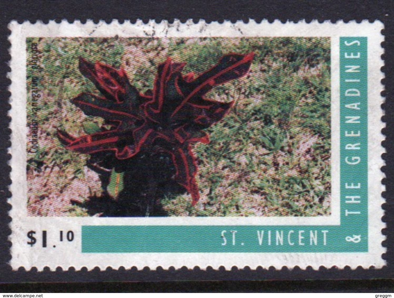 St.Vincent & Grenadines 1996 Single $1.10 Stamp From The Crotons Set. - St.Vincent & Grenadines