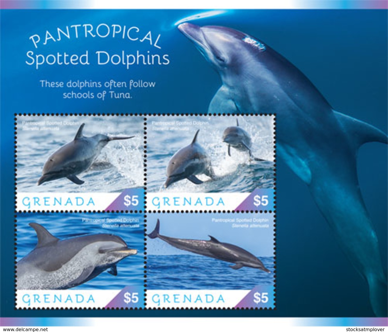 Grenada  2019  Fauna  Pantropical Spotted Dolphin  I201901 - Grenada (1974-...)