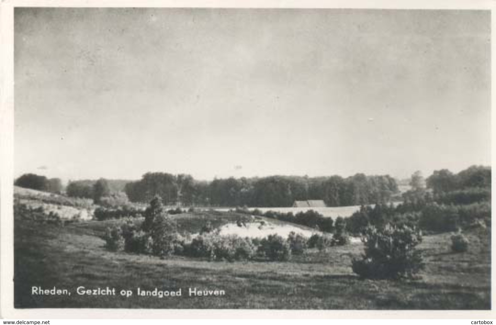 Rheden, Gezicht Op Landgoed Heuven  (type Fotokaart) - Rheden