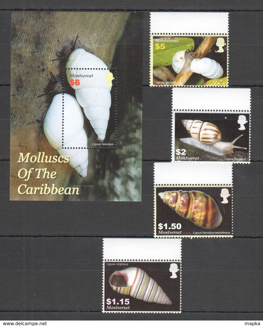 K1131 MONTSERRAT MOLLUSCS OF THE CARIBBEAN MARINE LIFE SNAILS FAUNA BL+SET MNH - Coquillages