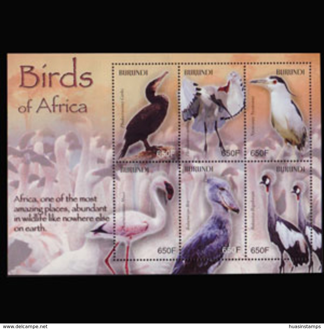 BURUNDI 2004 - Scott# 768 S/S Birds MNH - Nuovi