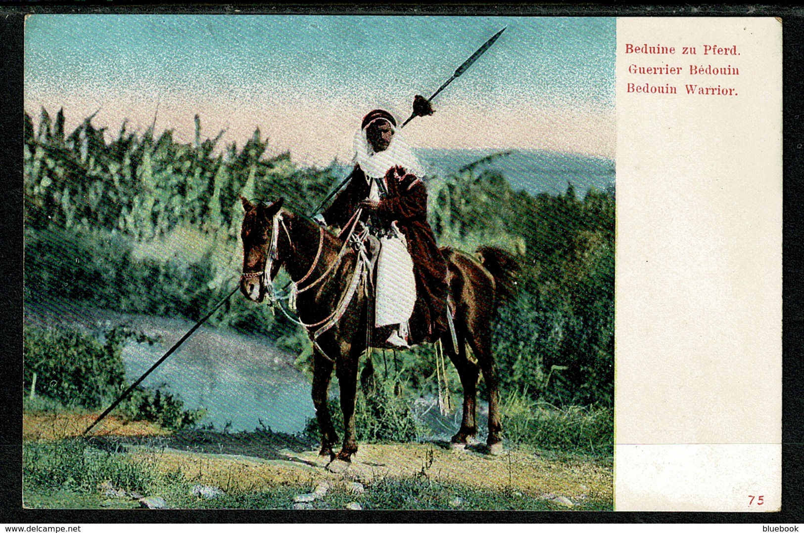 Ref 1308 - Early Ethnic Postcard - Bedouin Warrior On Horseback - Africa