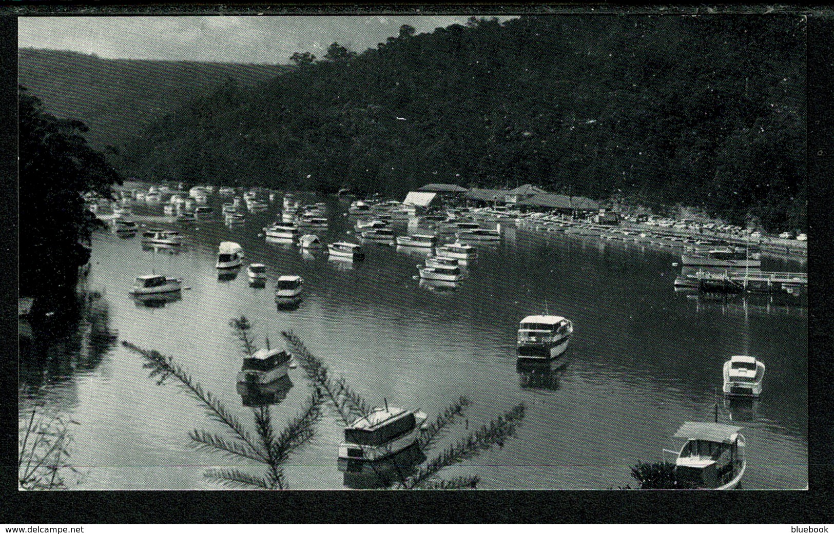 Ref 1308 - Postcard - Halvorsen's Marine Centre - Bobbin Head New South Wales Australia - Autres & Non Classés