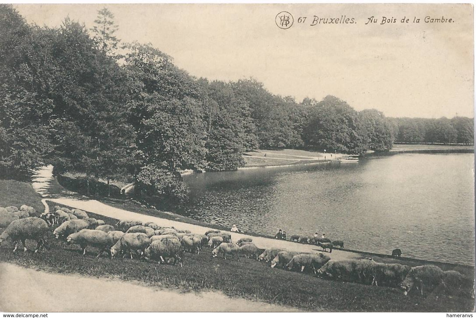 Bruxelles - Au Bois De La Cambre - HP1682 - Foreste, Parchi, Giardini