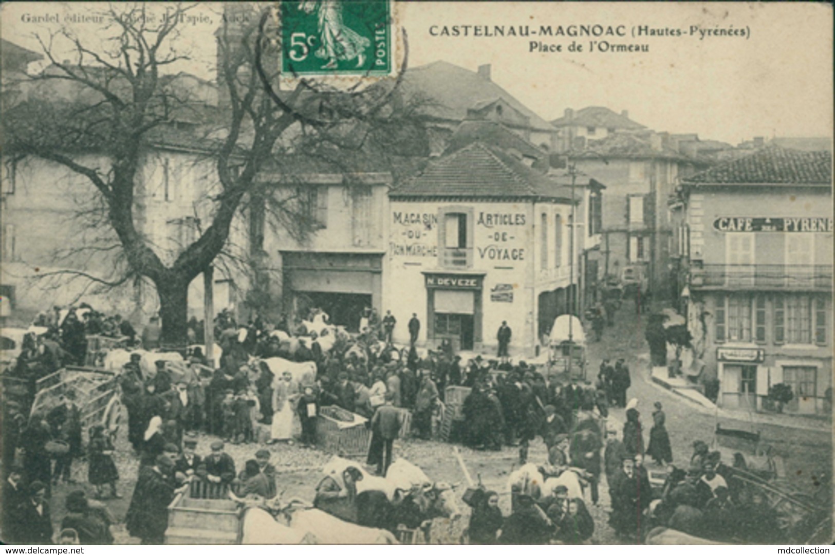 65 CASTELNAU MAGNOAC / Place De L'Ormeau / Belle Carte Animée - Castelnau Magnoac