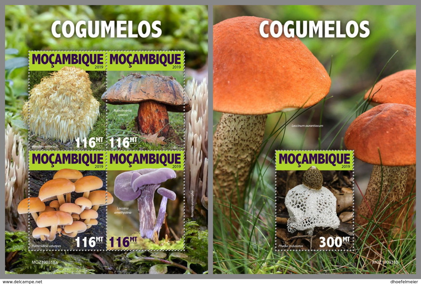 MOZAMBIQUE 2019 MNH Mushrooms Pilze Champignons M/S+S/S - OFFICIAL ISSUE - DH1925 - Funghi