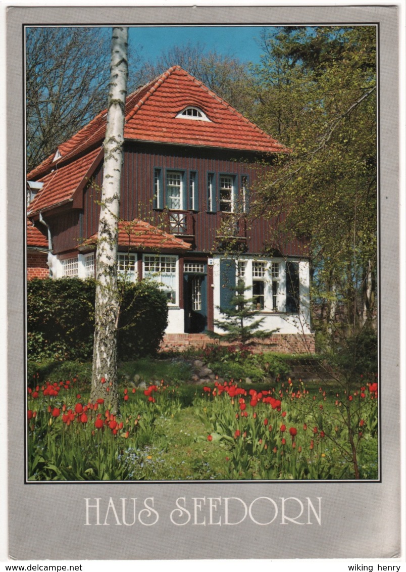 Hiddensee Kloster - Haus Seedorn - Hiddensee