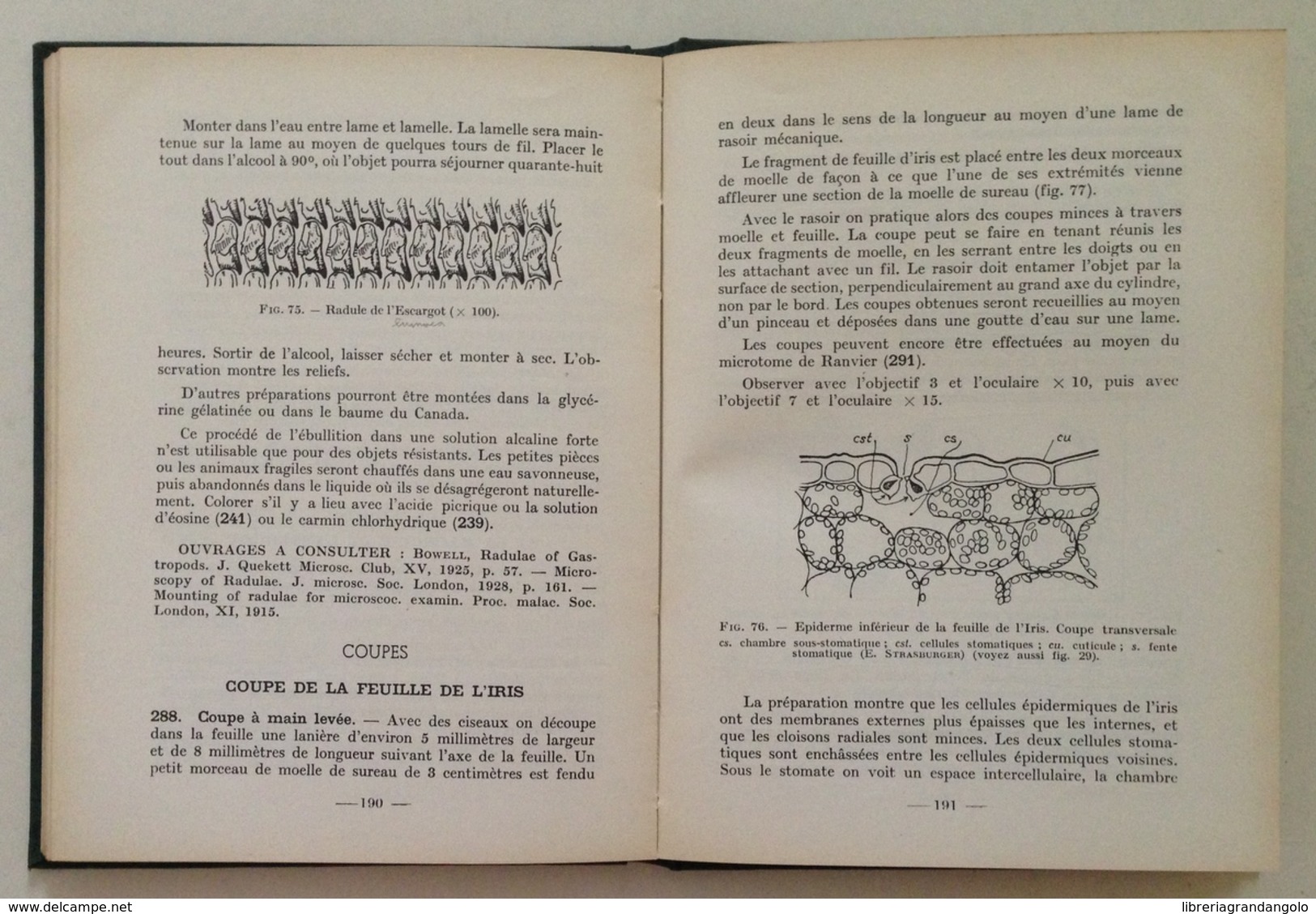 E. Séguy Initiation A La Microscopie Editions N. Boubée Paris 1963 - Unclassified