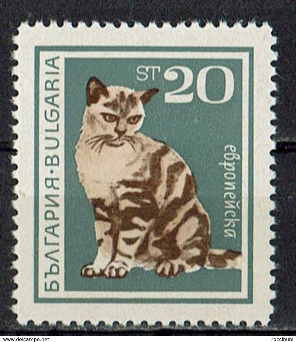 Bulgarien 1967 ** - Hauskatzen