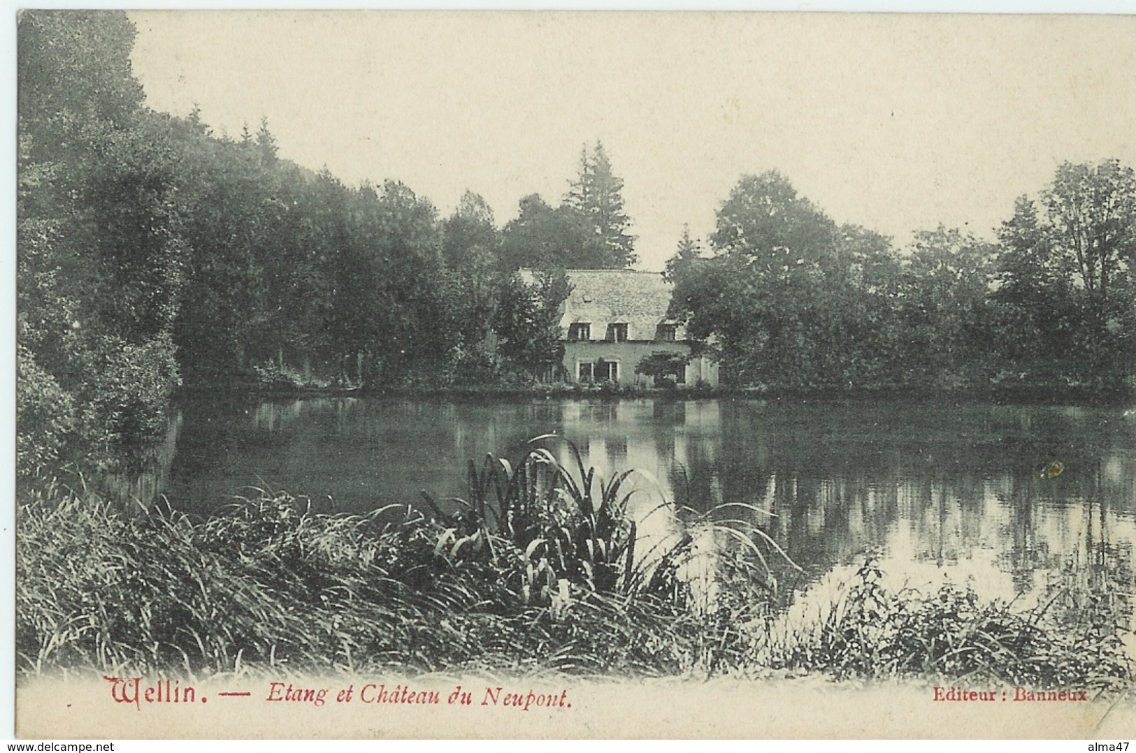 Wellin -  Etang Et Château Du Neupont - Editeur Banneux - Circulé Vers Allemagne - SUPER - Wellin