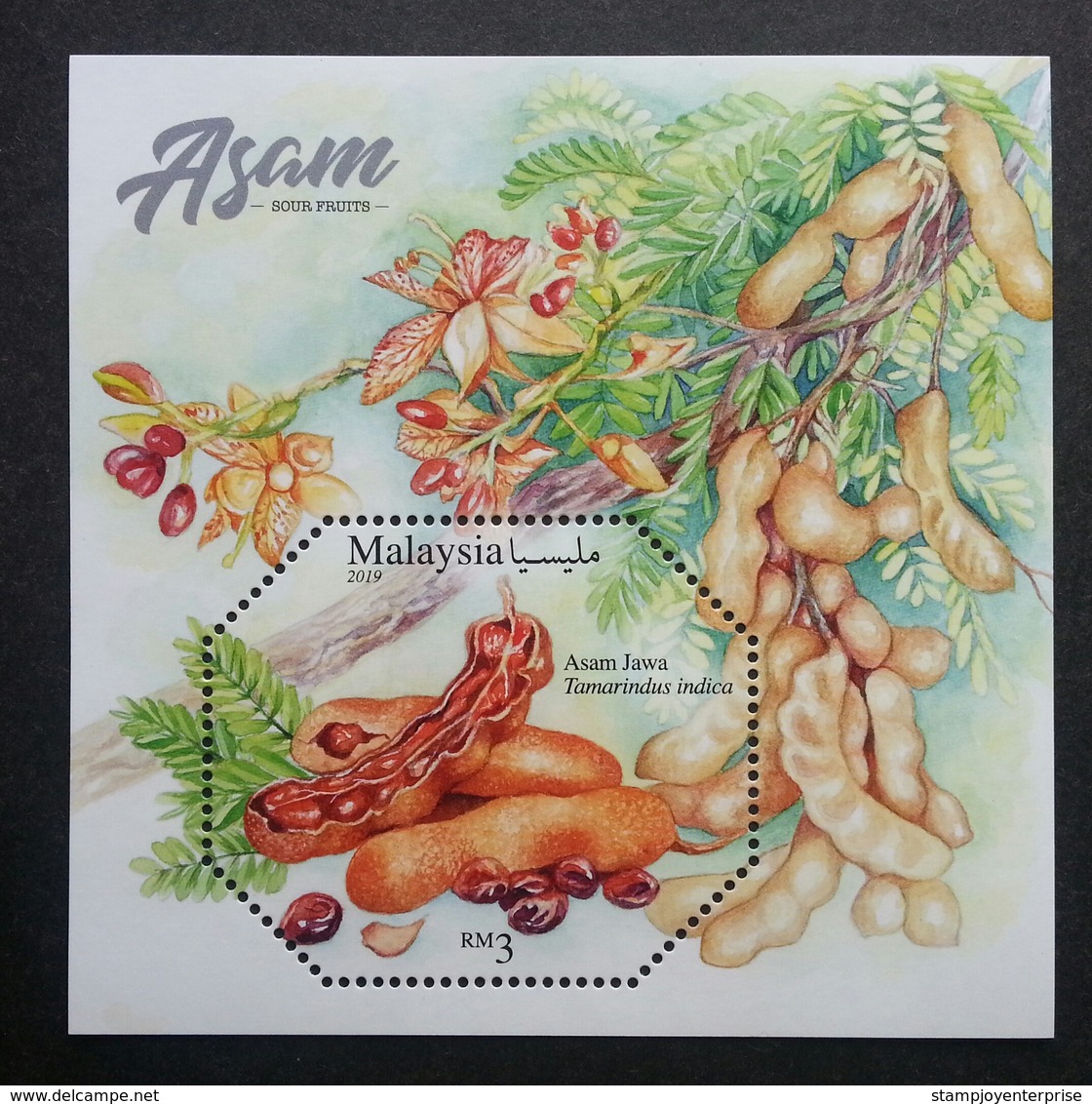 Malaysia Sour Fruits 2019 Fruit Food Flower Flora Plant Tree (ms) MNH *odd Shape *unusual - Malaysia (1964-...)