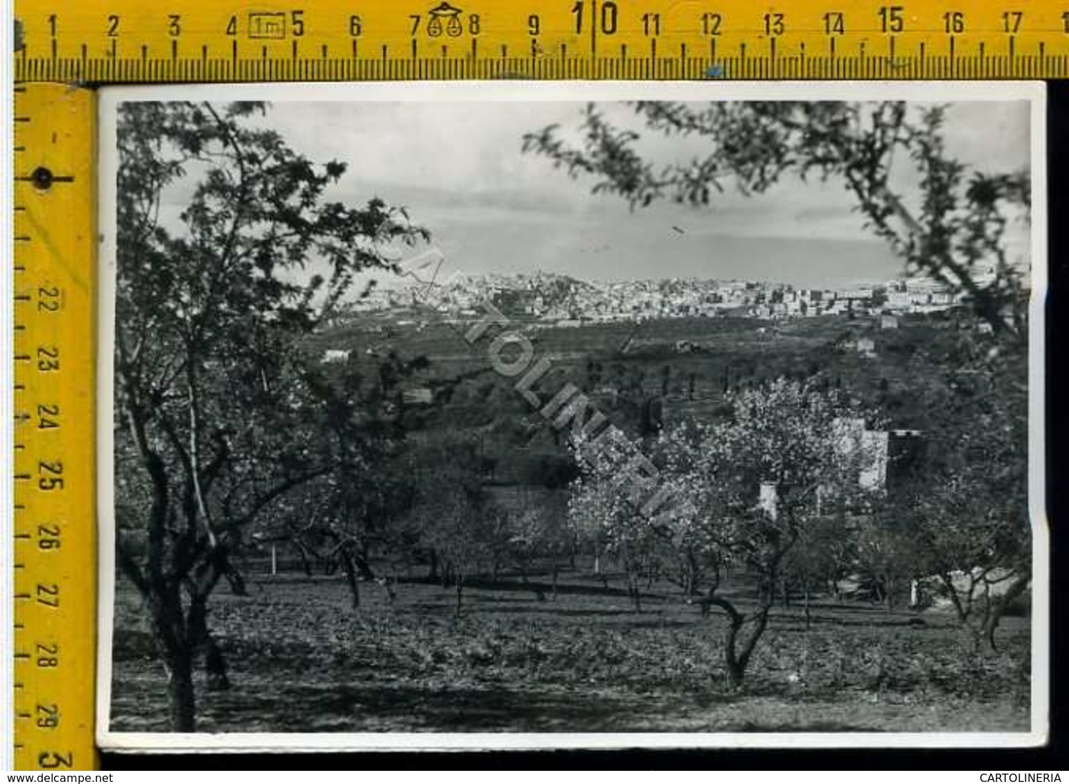 Agrigento Archeologica - Agrigento