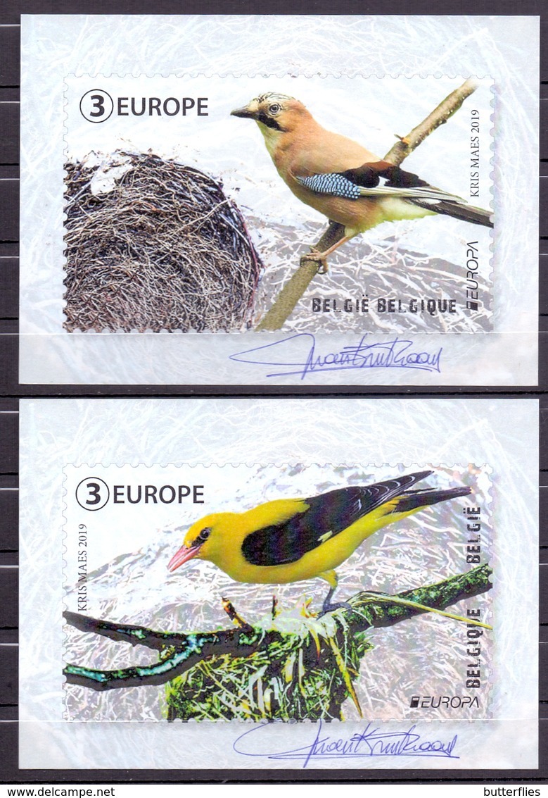 Belgie - 2019 - OBP - 2 Max. Kaarten - ** Vogels - Vlamse Gaai - Wielewaal - Kris Maes ** Uitgifte Bpost - 2011-..