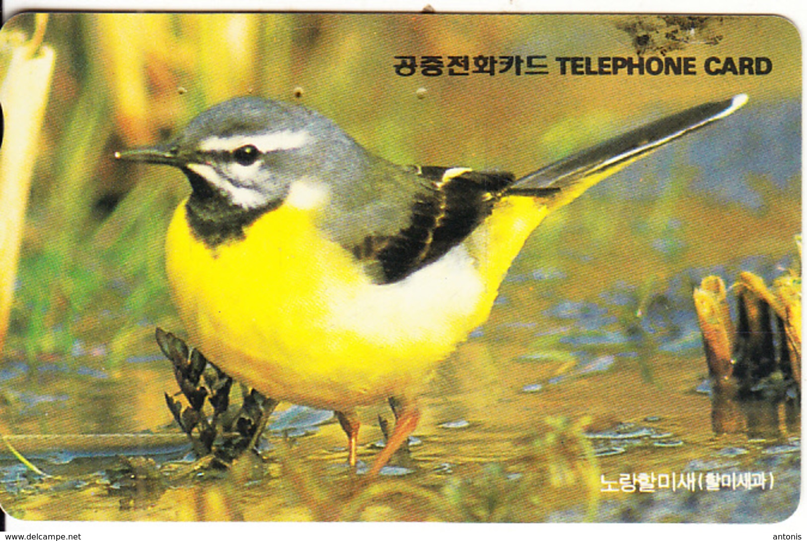 SOUTH KOREA - Bird, Yellow Wagtail(reverse Letter J, W3000), 03/95, Used - Andere & Zonder Classificatie