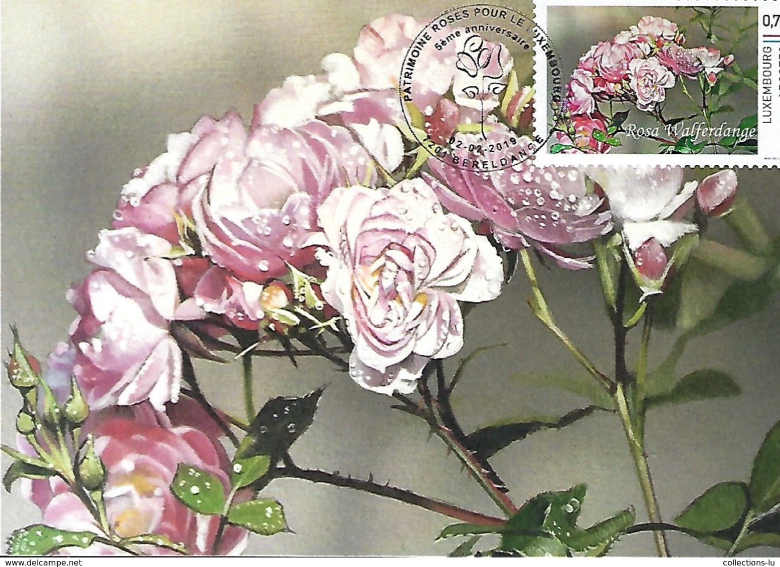 23..04 2019  - Patrimoine ROSES Pour Le LUXEMBOURG - Johan De Crem,acrilique 2018:ROSA WALFERDANGE 1990 - Cartes Maximum