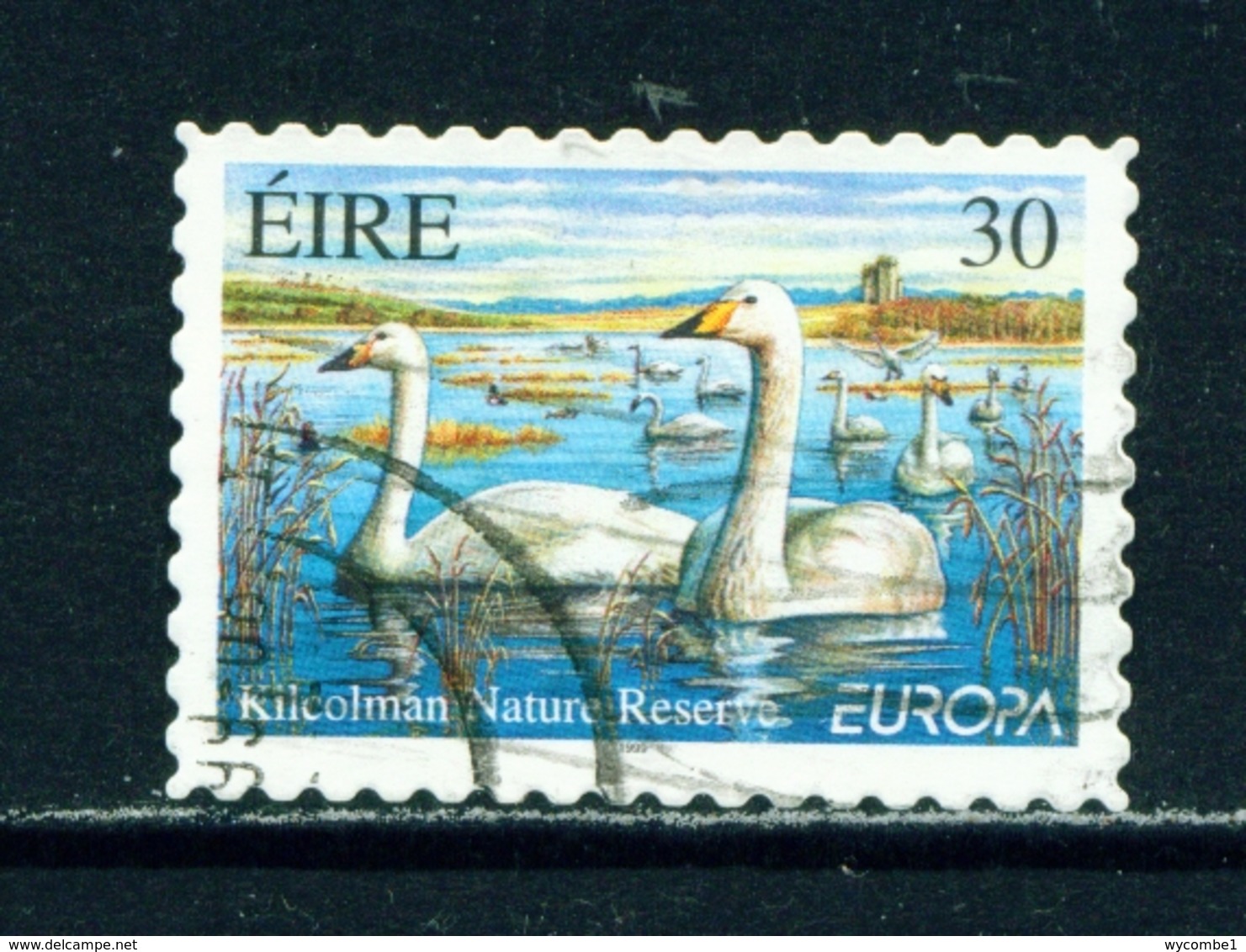 IRELAND  -  1999 Europa  30p Self Adhesive Used As Scan - Used Stamps