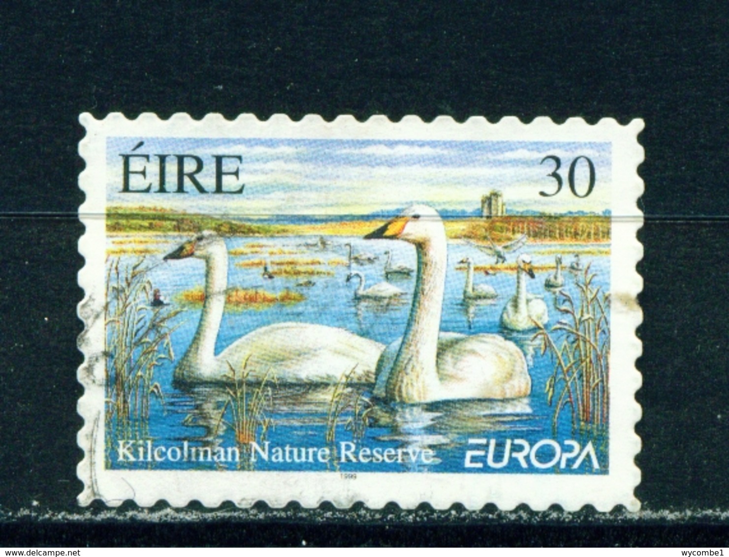 IRELAND  -  1999 Europa  30p Self Adhesive Used As Scan - Usati