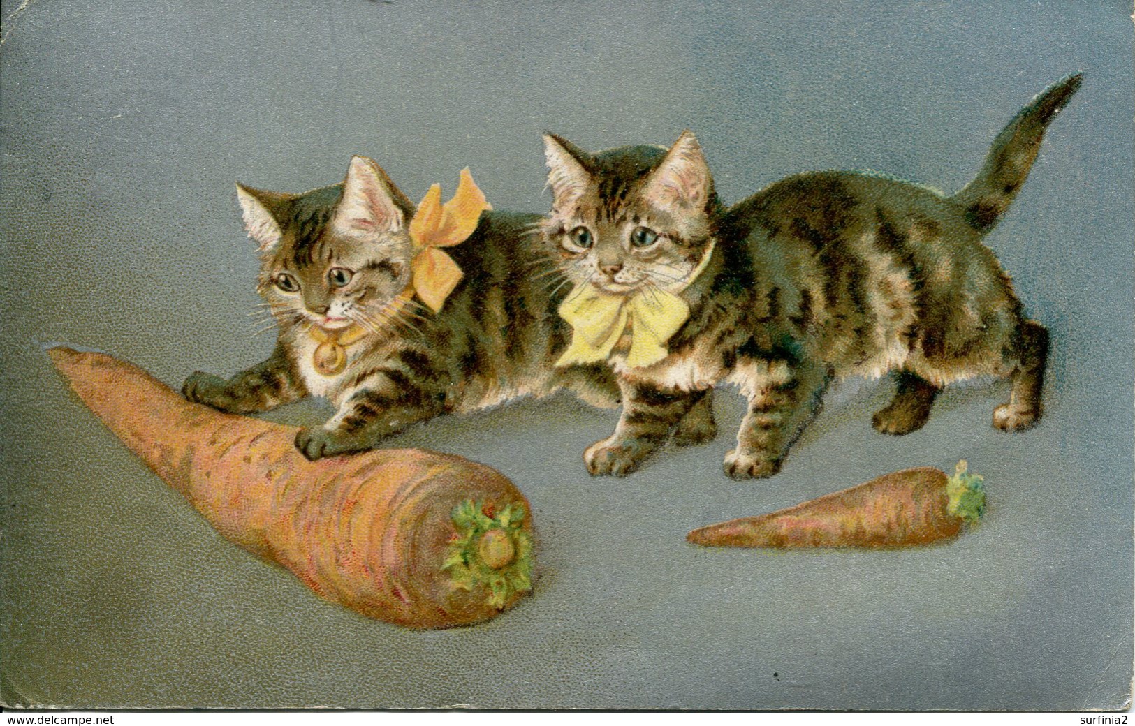 CATS - 2 KITTENS WITH CARROT 1908 C529 - Cats