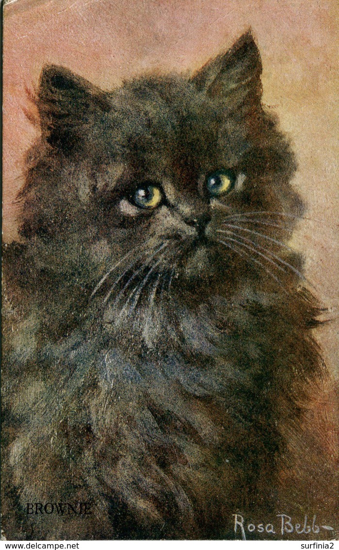 CATS - BROWNIE By ROSA BEBB 1919 C504 - Chats