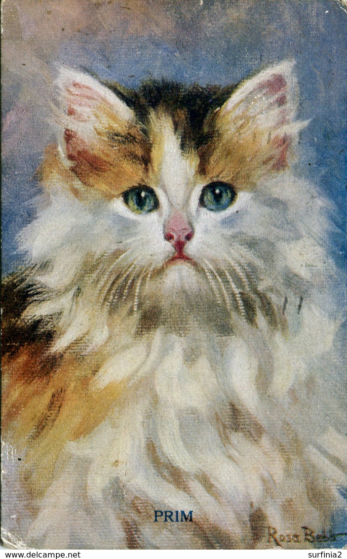 CATS - PRIM By ROSA BEBB 1925 C503 - Chats