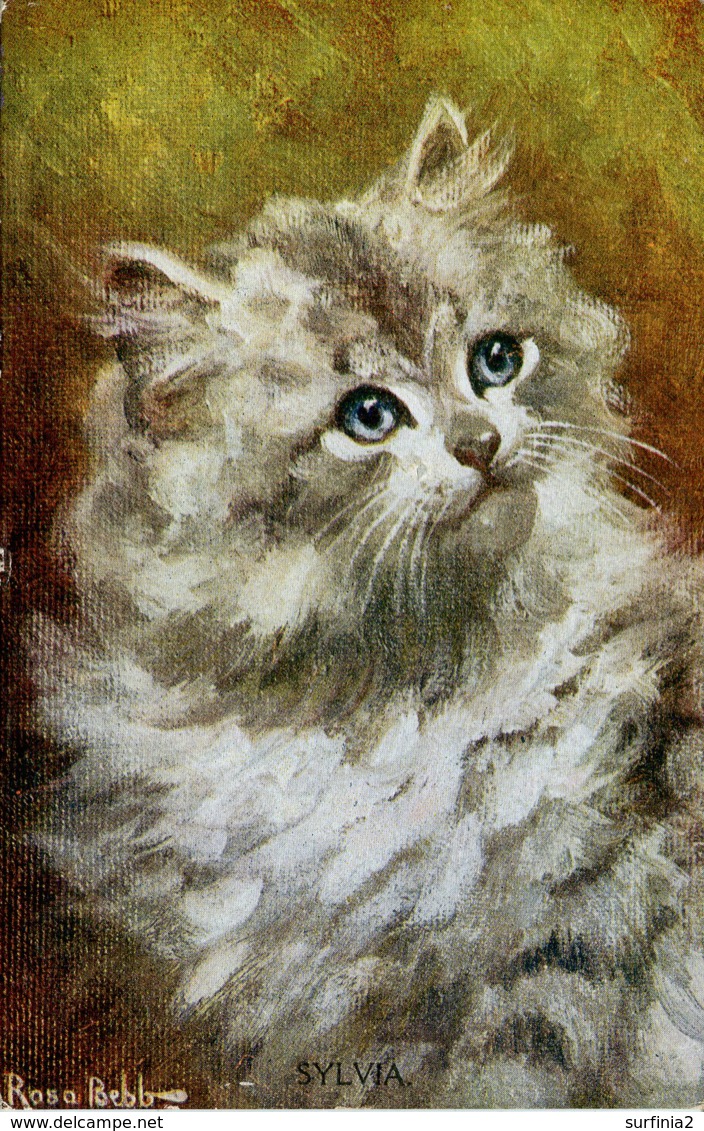 CATS - SYLVIA By ROSA BEBB 1918 C505 - Cats