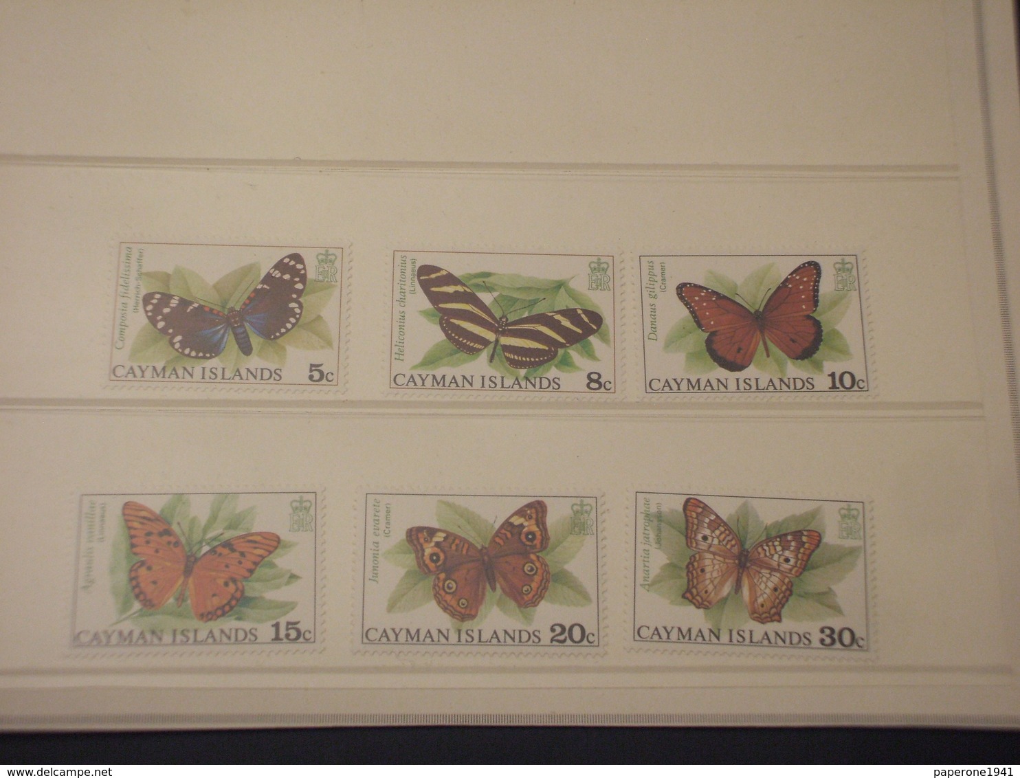 CAYMAN - 1977 FARFALLE 6 VALORI - NUOVI(++) - Cayman (Isole)