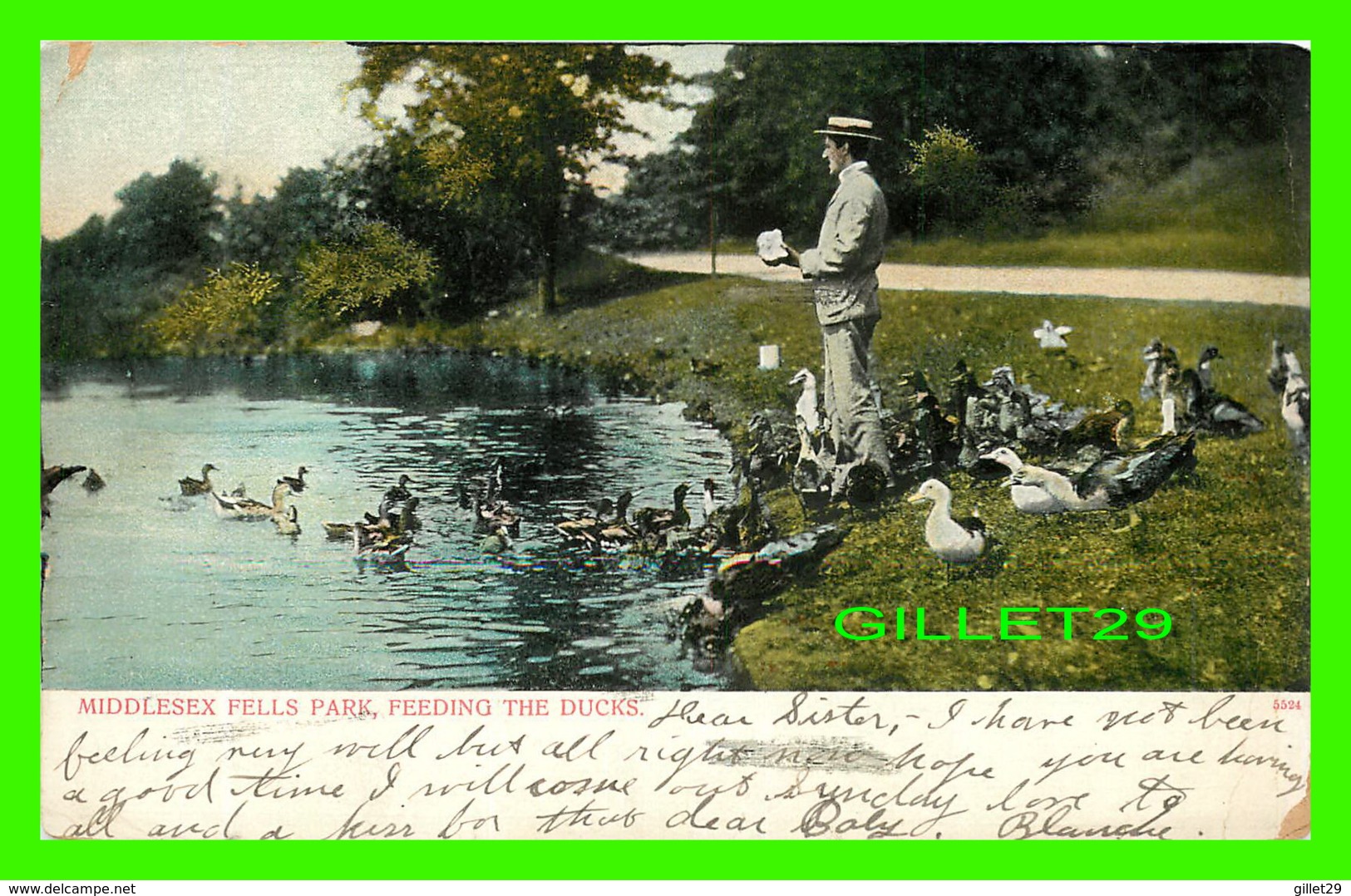 STONIEHAM, MA - MIDDLESEX FELLS PARK , FEEDING THE DUCKS - ANIMATED -  THE METROPOLITAN NEWS CO - - Autres & Non Classés