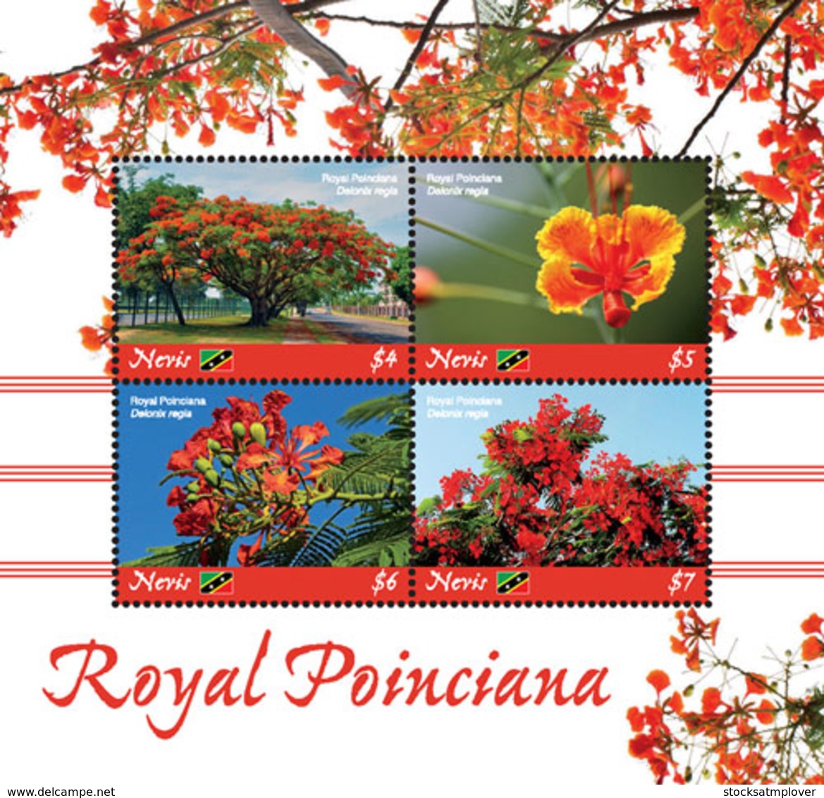 Nevis  2019 Royal Poinciana Trees ,flowers   I201901 - St.Kitts And Nevis ( 1983-...)