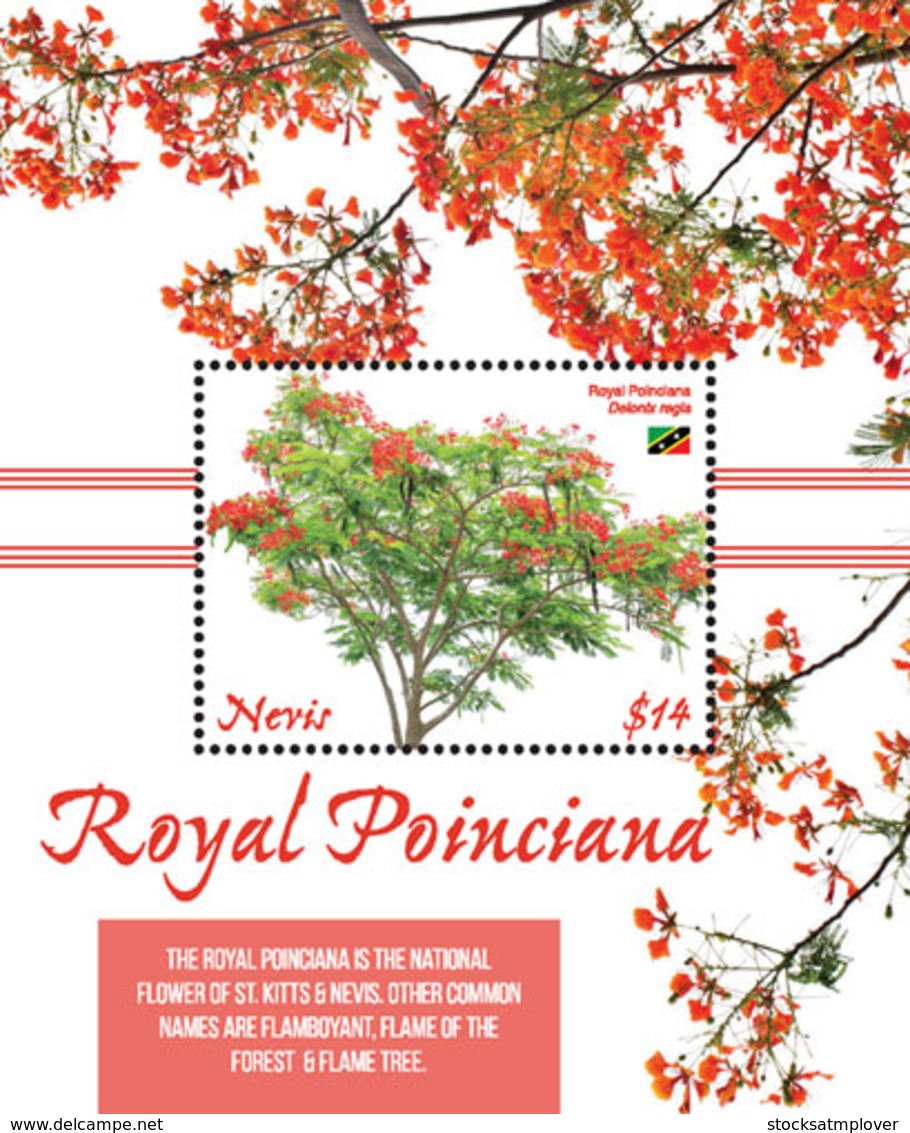 Nevis  2019 Royal Poinciana Trees ,flowers   I201901 - St.Kitts And Nevis ( 1983-...)