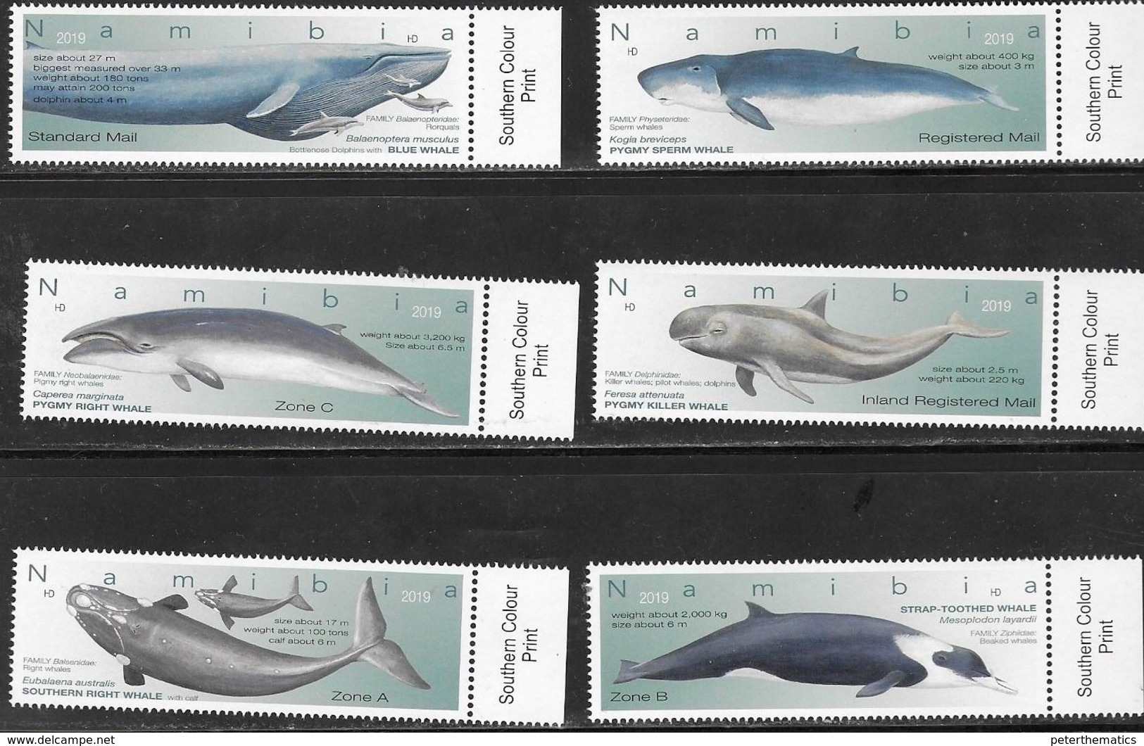 NAMIBIA, 2019, MNH, WHALES, 6v - Balene