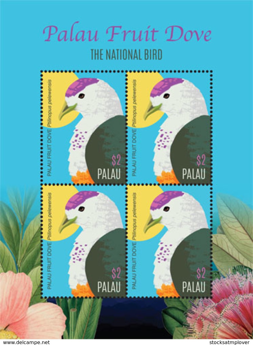 Palau 2018 Fruit Dove, Fauna  I201901 - Palau