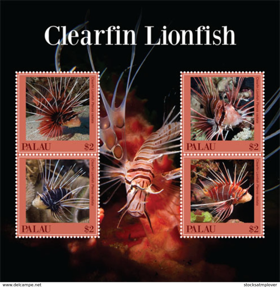 Palau 2019  Fauna Clearfin Lionfish  I201901 - Palau