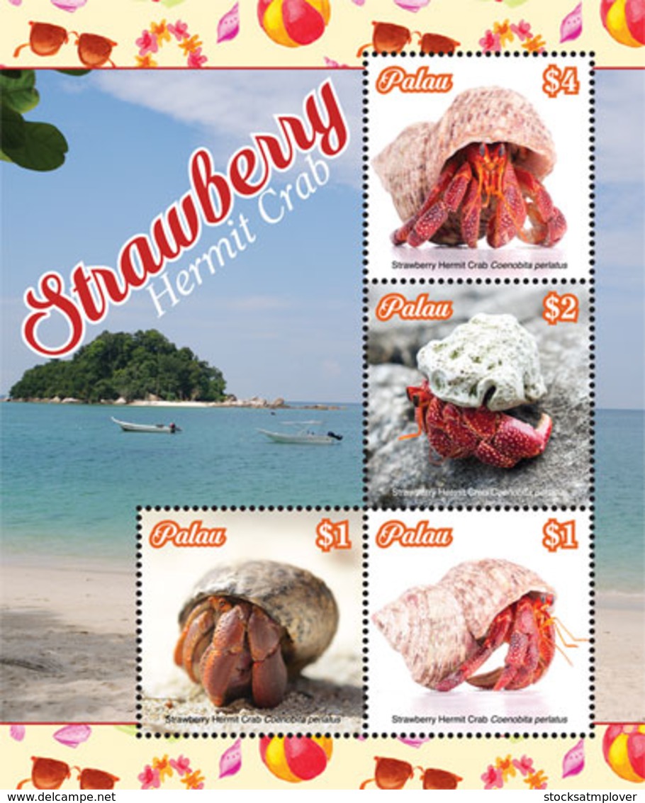 Palau 2019  Fauna  Strawberry Hermit Crab I201901 - Palau