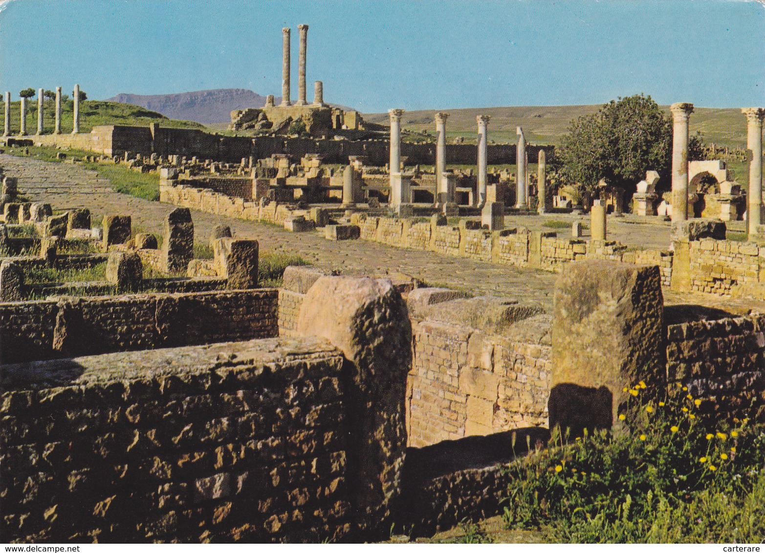 ALGERIE,AFRIQUE DU NORD,Cité Antique,ruines Romaines,TIMGAD,batna,aures,fondée Par Empereur Trajan - Batna