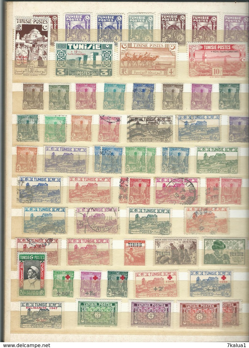 Colonie Française : TUNISIE.  Collection Sur 7 Pages, Neufs** Ou * Et Oblitérés. Départ 1 €. - Collections (en Albums)